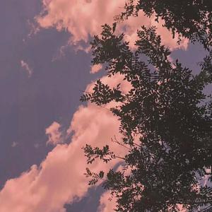 国产精品久久久久AV
